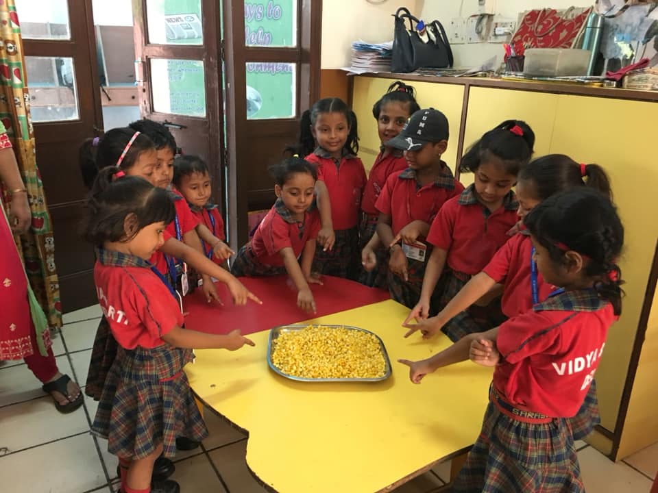 Saraswati Bal Mandir campus photo 5 of 10 — Lajpat Nagar