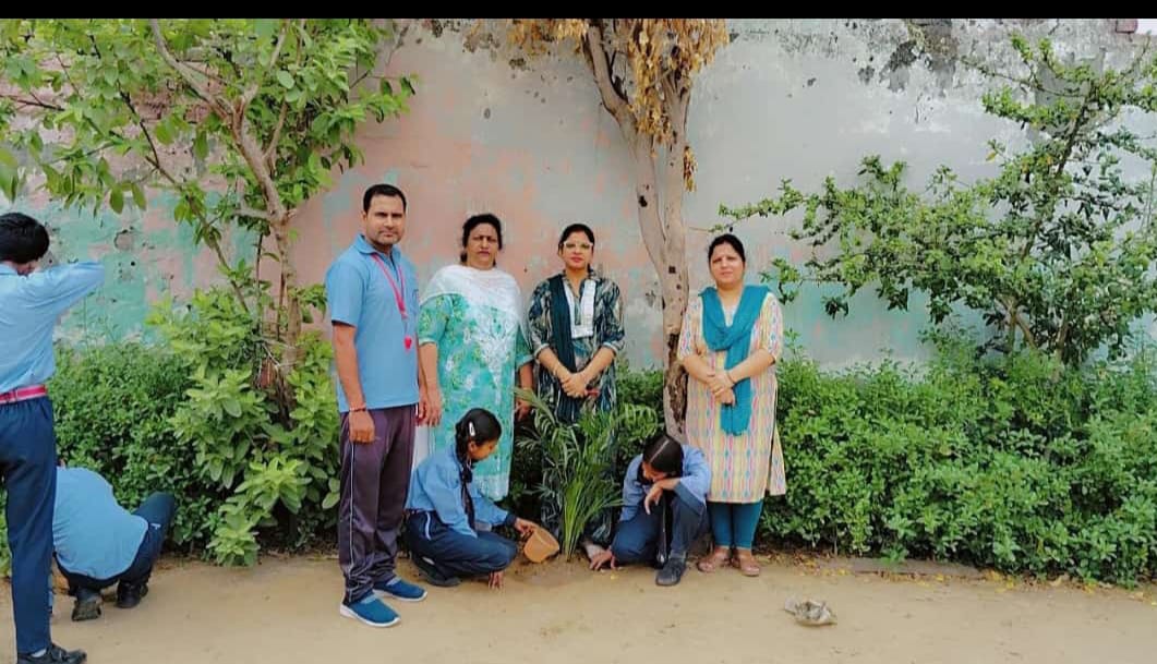 Tagore Shiksha Niketan campus photo 28 of 28 — Badarpur
