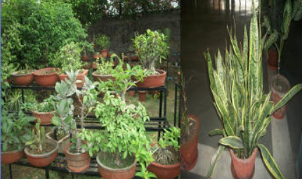 Deepalaya School campus photo 6 of 6 — Kalkaji