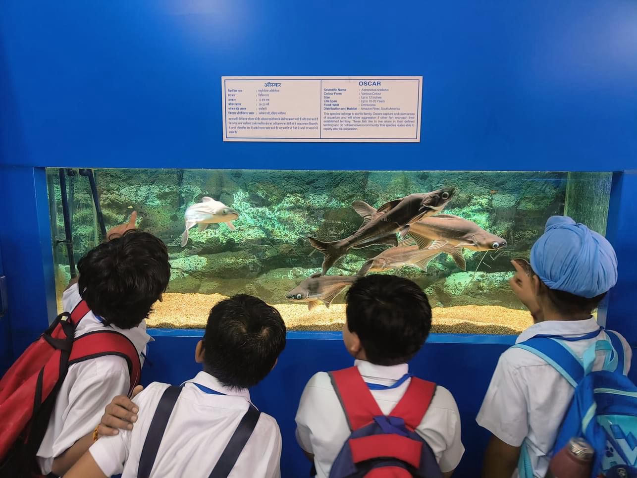 Guru Harkrishan Public School campus photo 30 of 30 — Greater Kailash