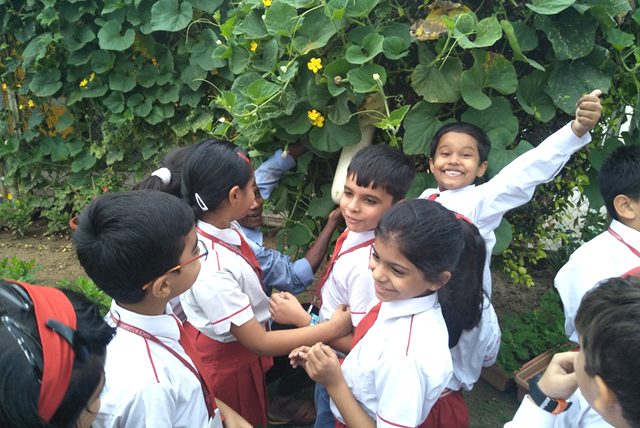 Bhatnagar International Foundation School campus photo 8 of 12 — Vasant Kunj