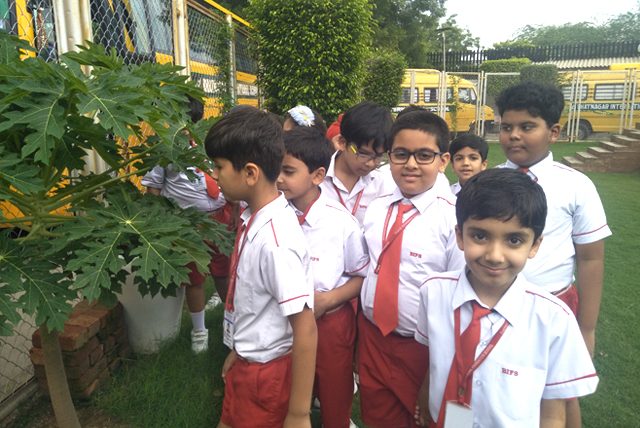 Bhatnagar International Foundation School campus photo 7 of 12 — Vasant Kunj