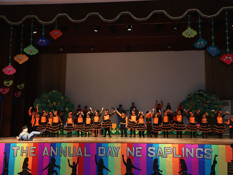 NE Saplings campus photo 2 of 12 — Rajouri Garden
