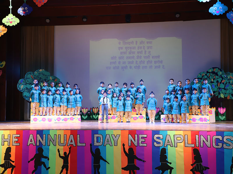 NE Saplings campus photo 6 of 12 — Rajouri Garden