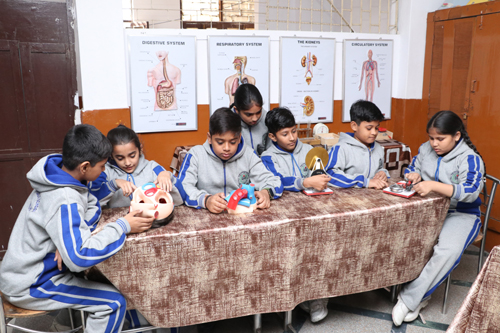 Lovely Public School campus photo 7 of 7 — Geeta Colony