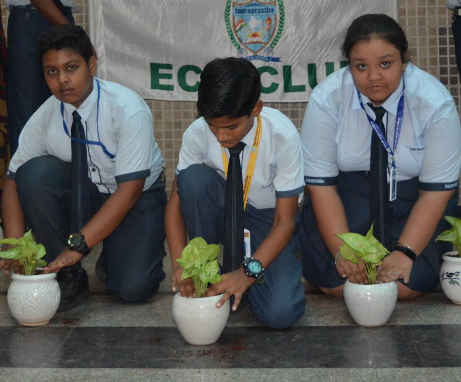 Indraprastha Global School campus photo 7 of 30 — Sector 93B