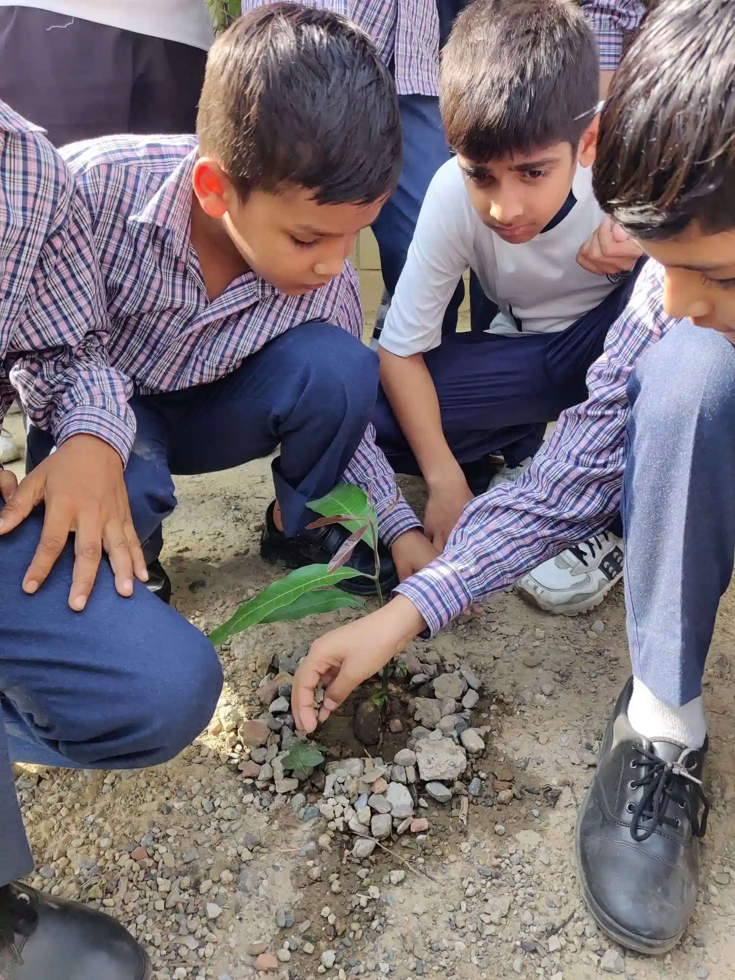 Zaytun International Academy campus photo 10 of 13 — Ghaziabad