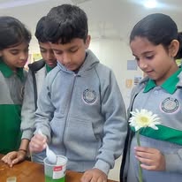 BLISS International School campus photo 2 of 13 — Hinjewadi