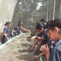 Crimson Anisha Global School campus photo 6 of 10 — Marunji