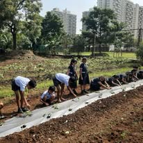 Crimson Anisha Global School campus photo 7 of 10 — Marunji