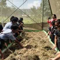 Crimson Anisha Global School campus photo 8 of 10 — Marunji