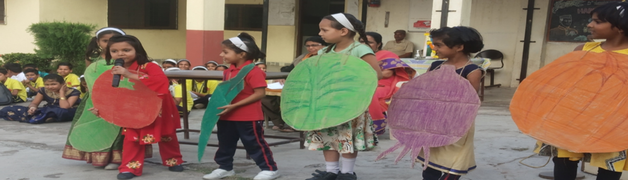 Kantilal Khinwasara English And Hindi Medium School campus photo 9 of 9 — Pimpri Chinchwad