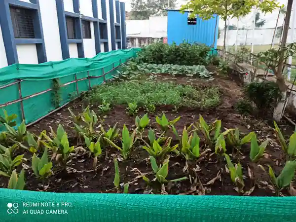 Podar International School, Sara City campus photo 7 of 7 — Chakan