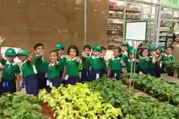 The Orbis School campus photo 2 of 9 — Mundhwa