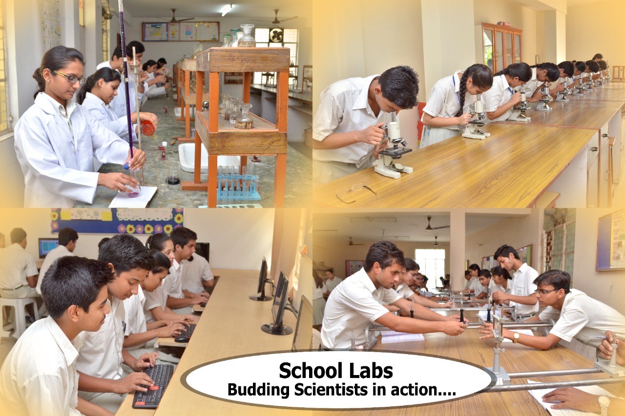 Shanti Gyan Niketan Senior Secondary Public School campus photo 17 of 30 — Dwarka