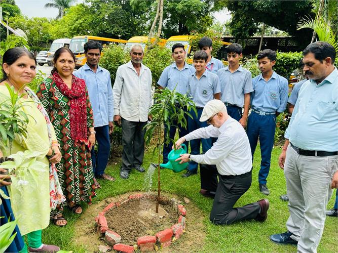 Green View Public school campus photo 5 of 8 — Najafgarh