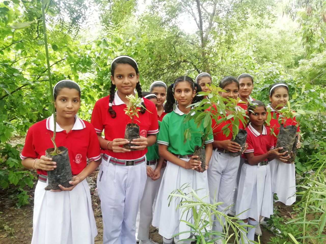 Rao Convent Secondary School campus photo 11 of 14 — Pandwala Kalan
