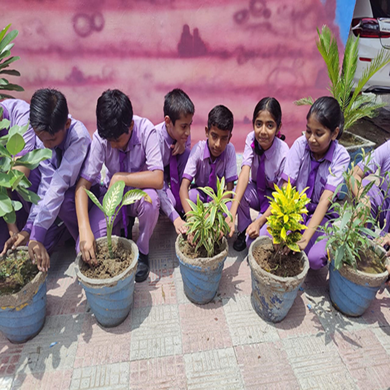 GoodWill Public School campus photo 14 of 30 — Najafgarh