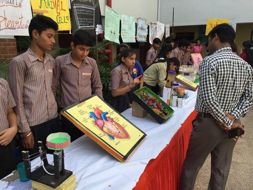 Mata Kasturi Devi Senior Secondary Public School campus photo 7 of 12 — Najafgarh