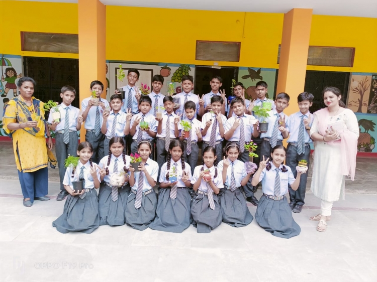 Rao Mansa Ram Public School campus photo 4 of 15 — Kapashera