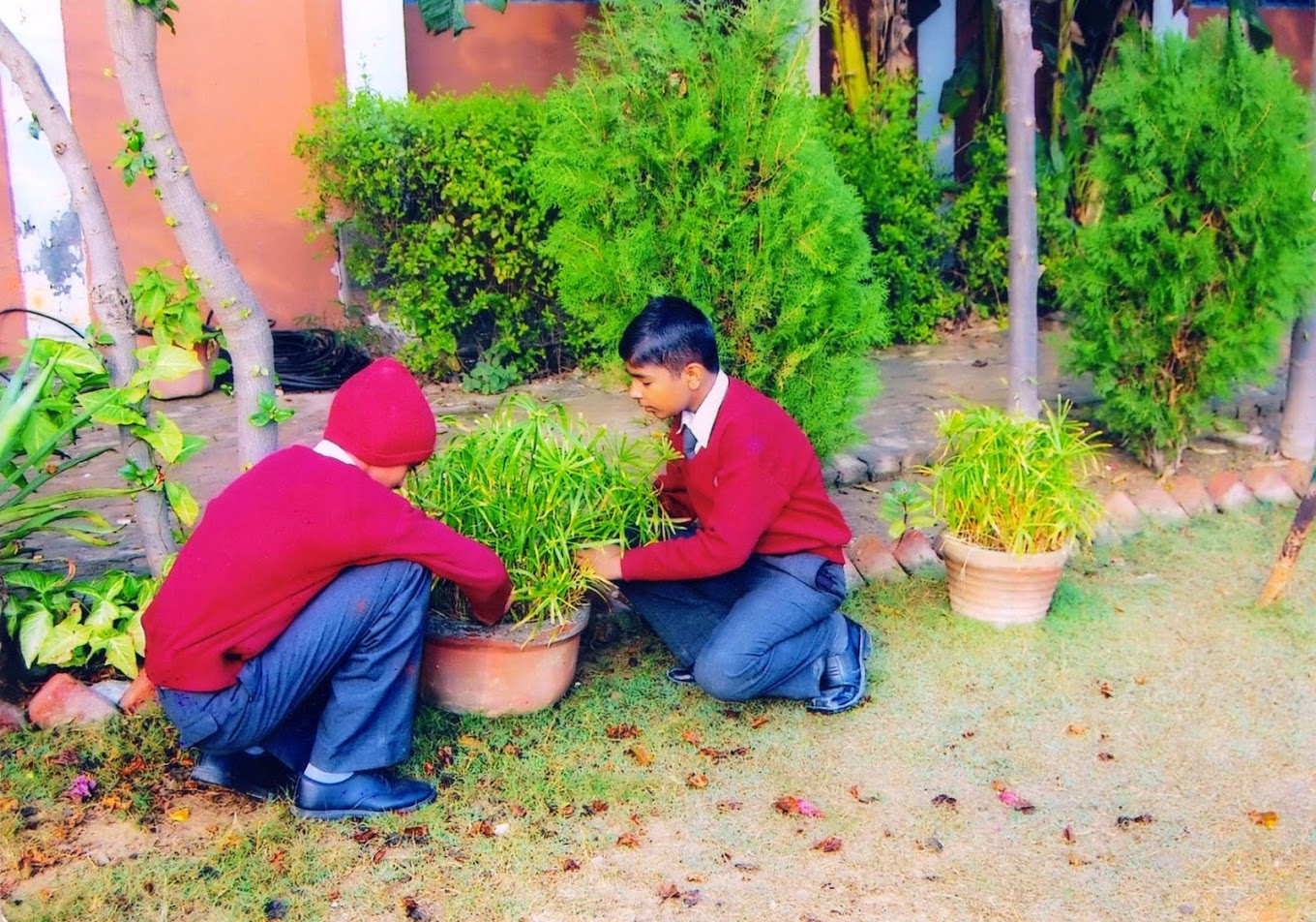 Arya Kumar Convent School campus photo 9 of 14 — Najafgarh