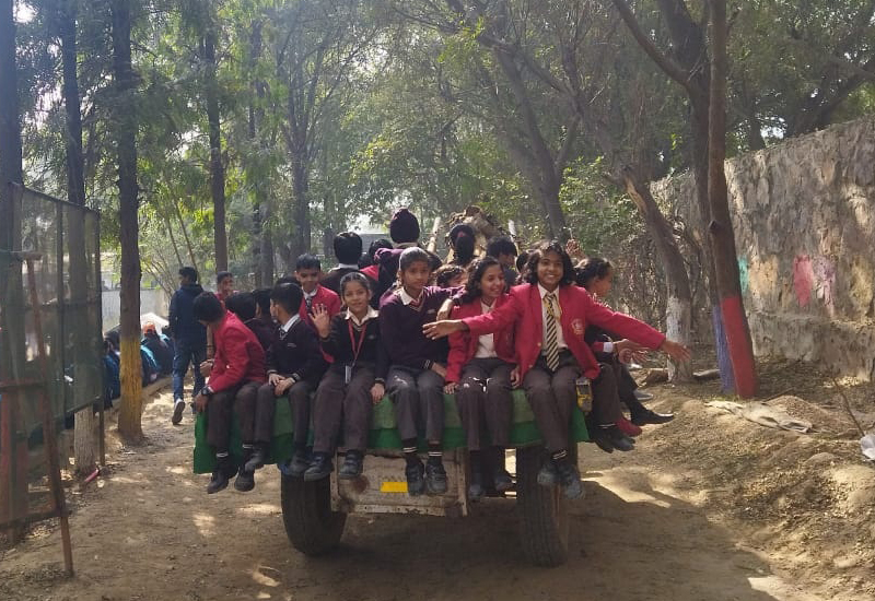 Sanskar Convent School campus photo 5 of 24 — Najafgarh