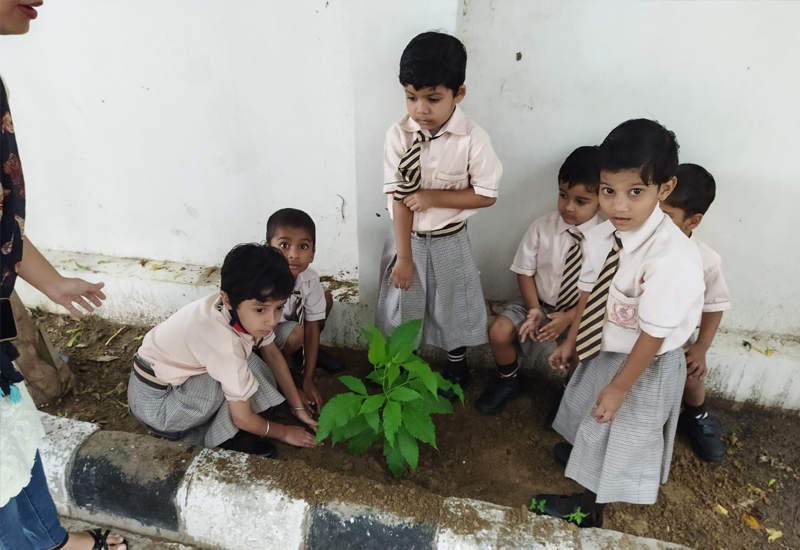 Sanskar Convent School campus photo 18 of 24 — Najafgarh
