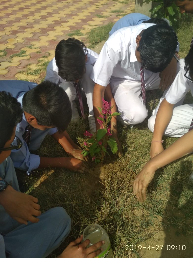 Aakash International School campus photo 3 of 9 — Baprola
