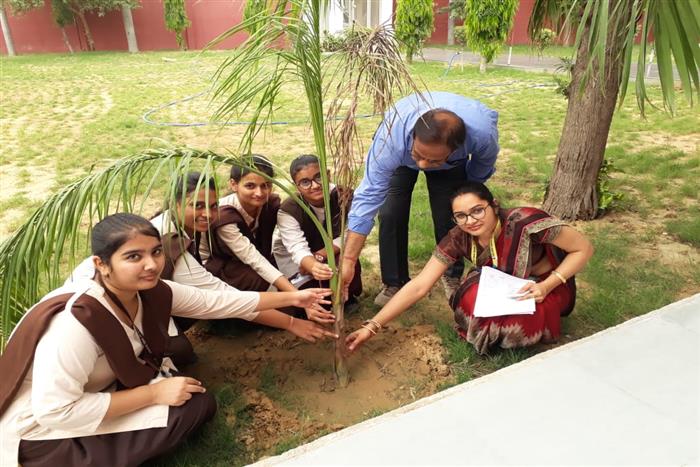 Rao Man Singh Senior Secondary School campus photo 5 of 8 — Najafgarh