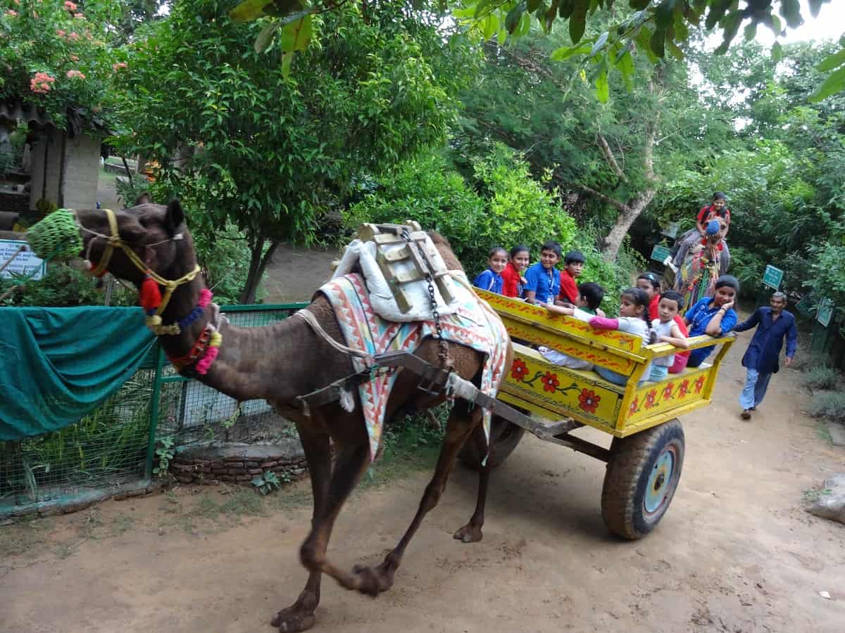 Gyan Kunj Public School campus photo 16 of 17 — Jaunapur