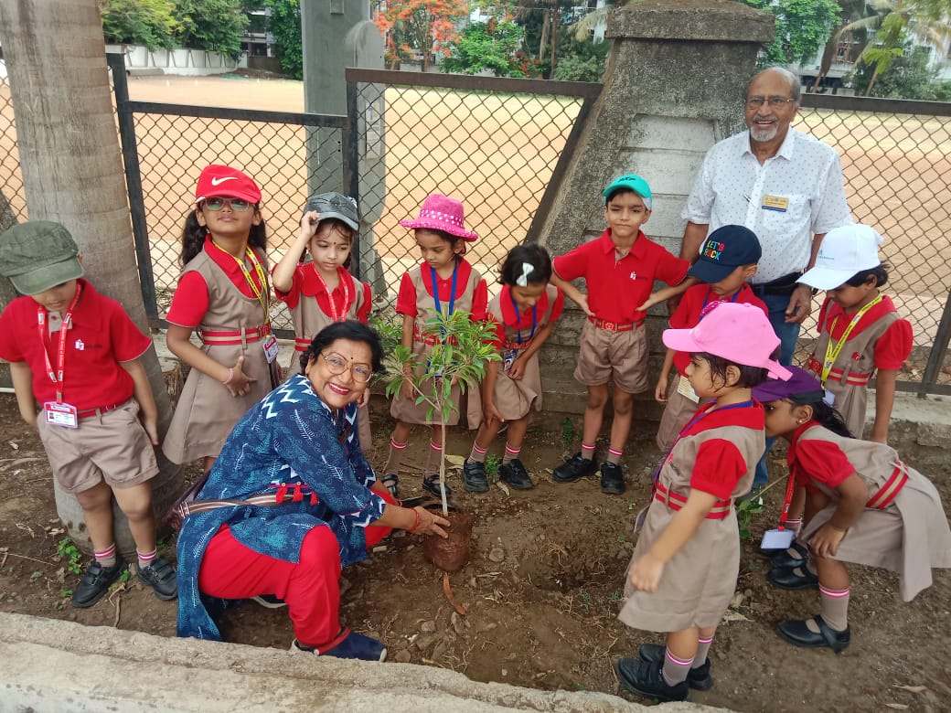Radcliffe School campus photo 25 of 29 — Taloja