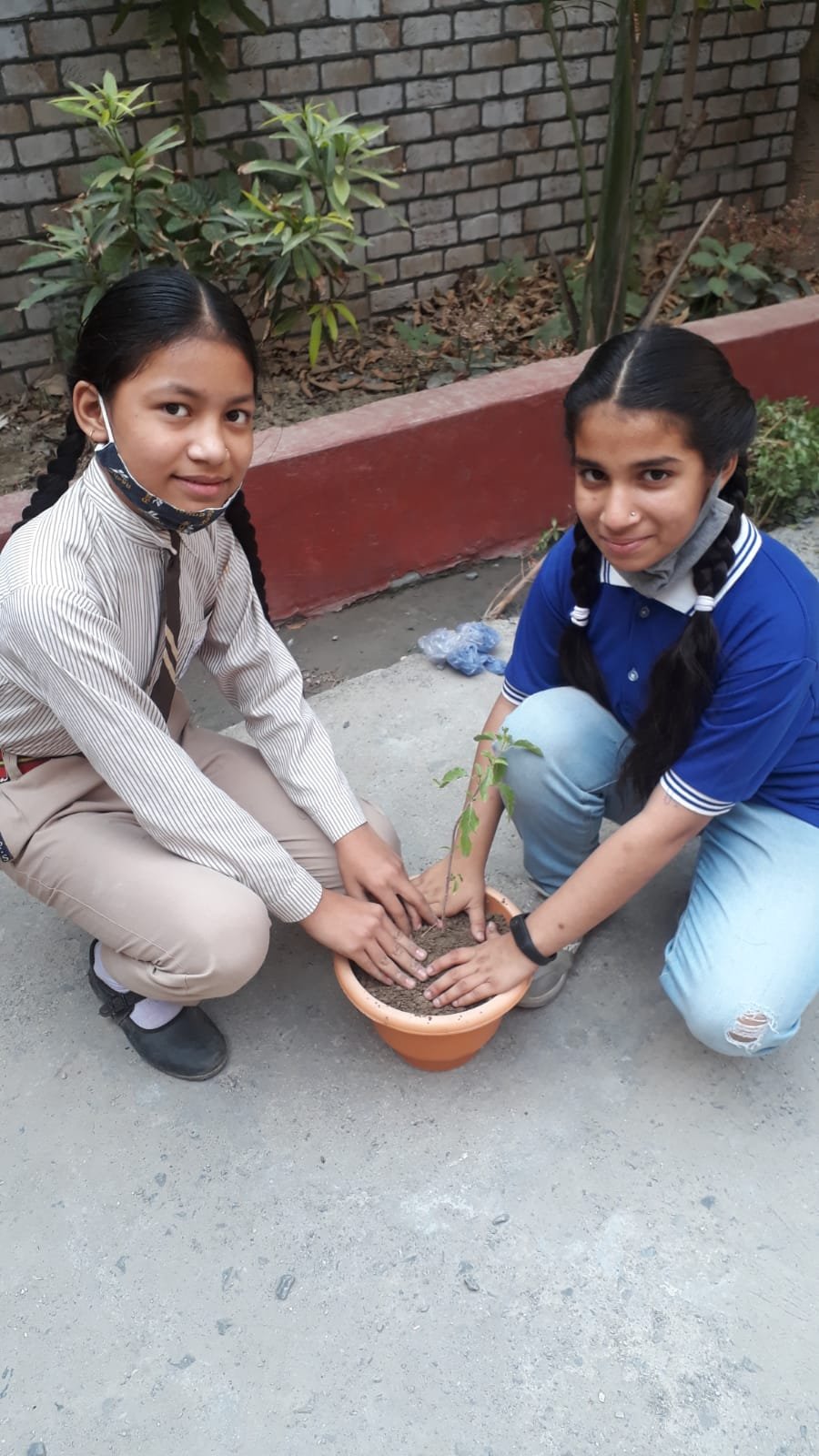 D.V.S. Public School campus photo 12 of 29 — Burari