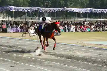 Motilal Nehru School of Sports campus photo 18 of 30 — Rai