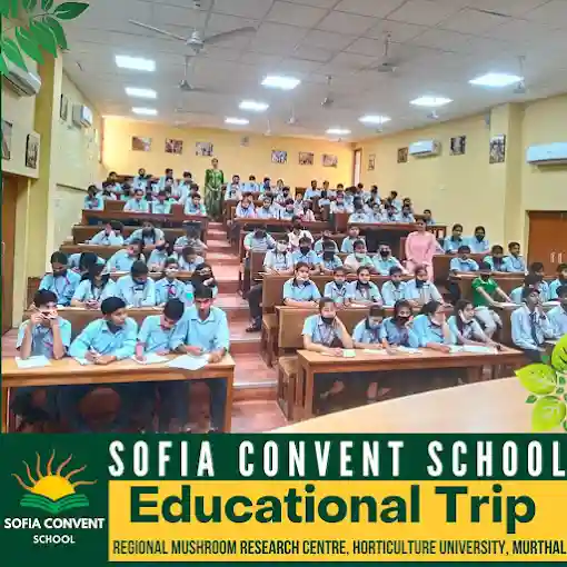 Sofia Convent School campus photo 8 of 27 — Murthal