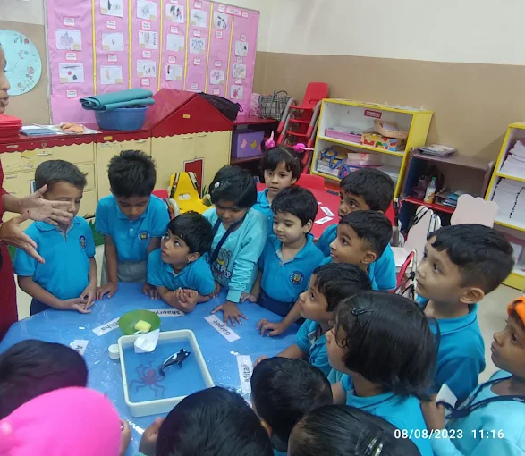 Twinkle Star Pre-School campus photo 3 of 5 — Bhosari