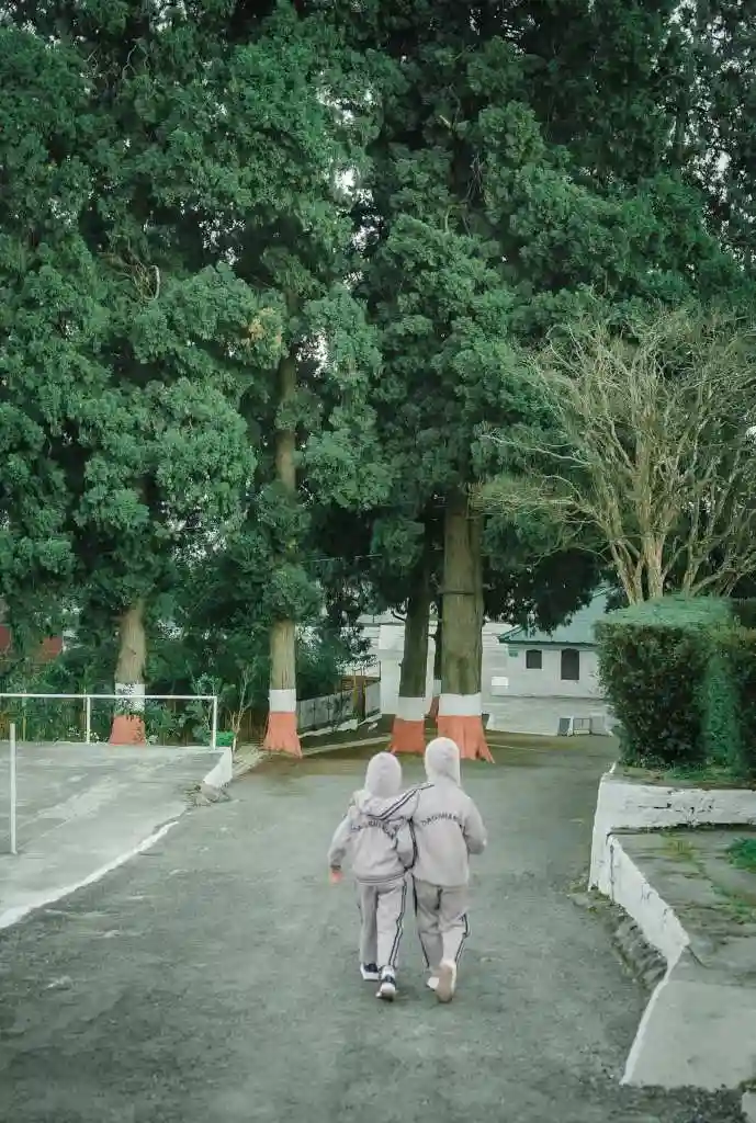 Dagshai Public School campus photo 12 of 12 — Solan