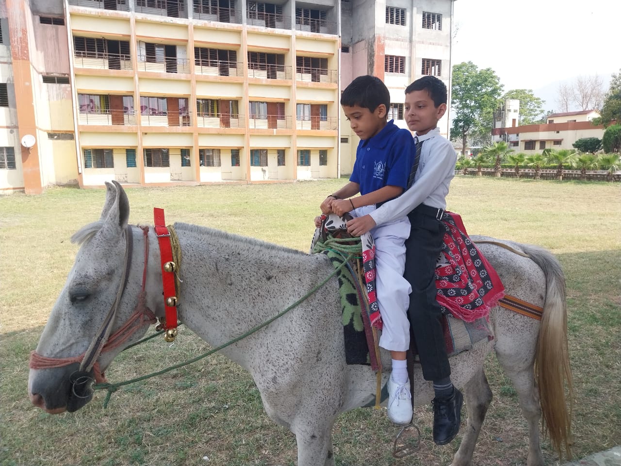 GRD World School campus photo 27 of 27 — Dehradun