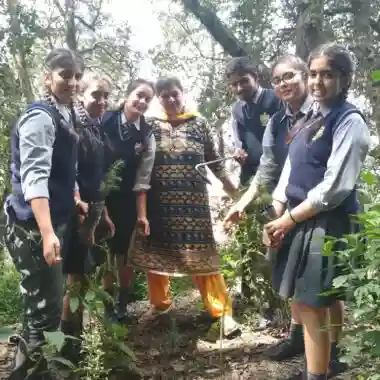 Laureate Public School campus photo 10 of 11 — Shimla