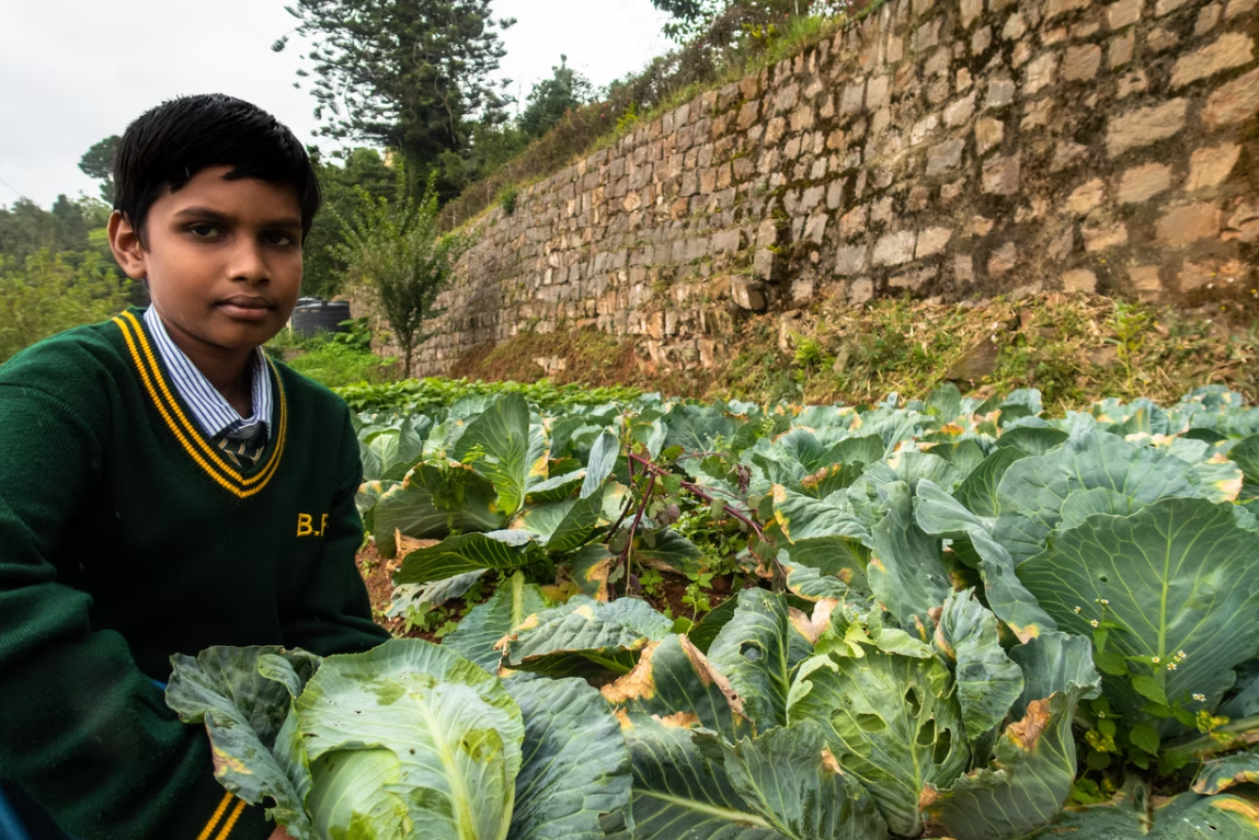 Brindavan Schools campus photo 2 of 8 — Coimbatore