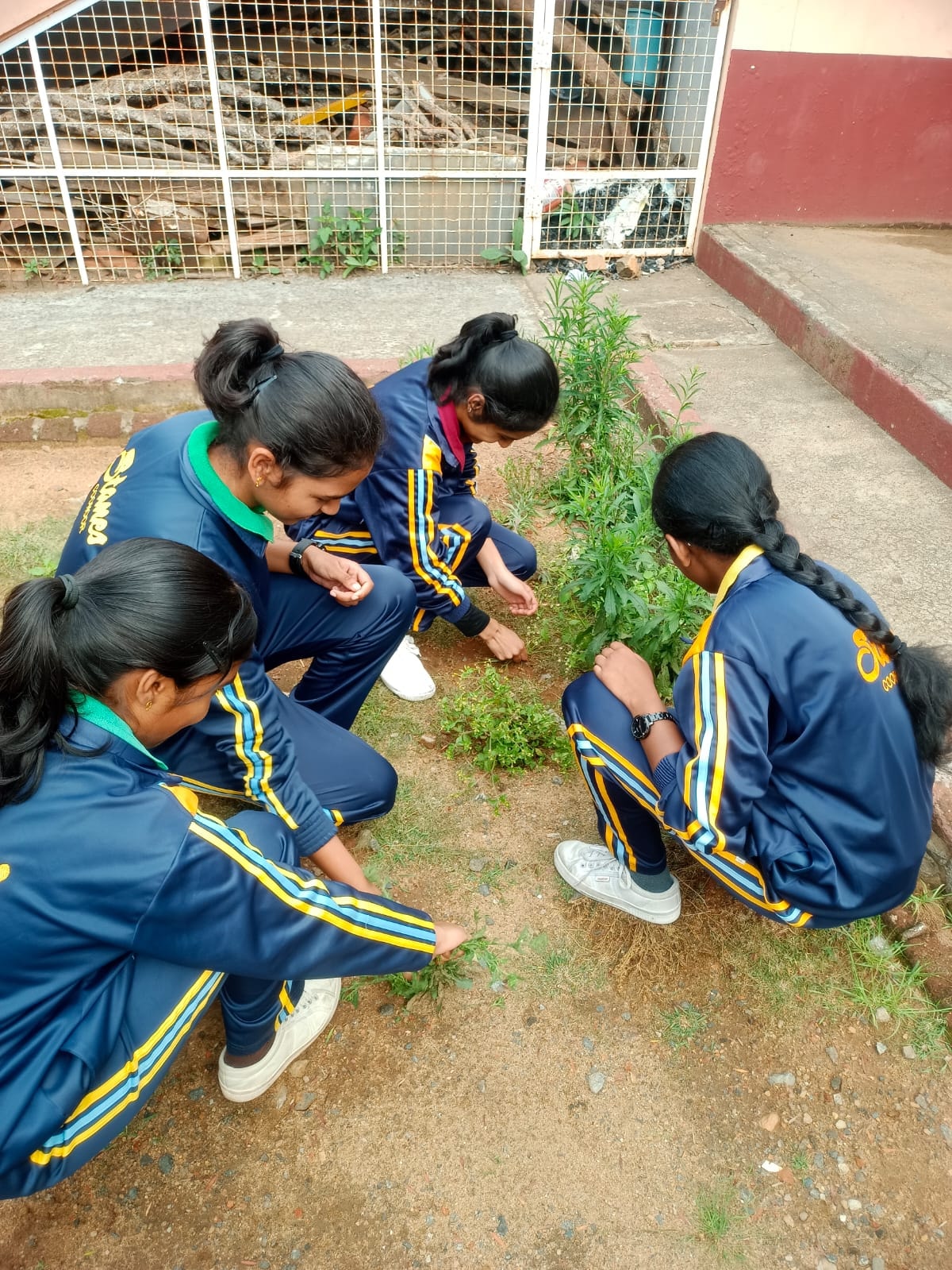 Stanes Anglo-Indian Higher Secondary School campus photo 30 of 30 — Coonoor