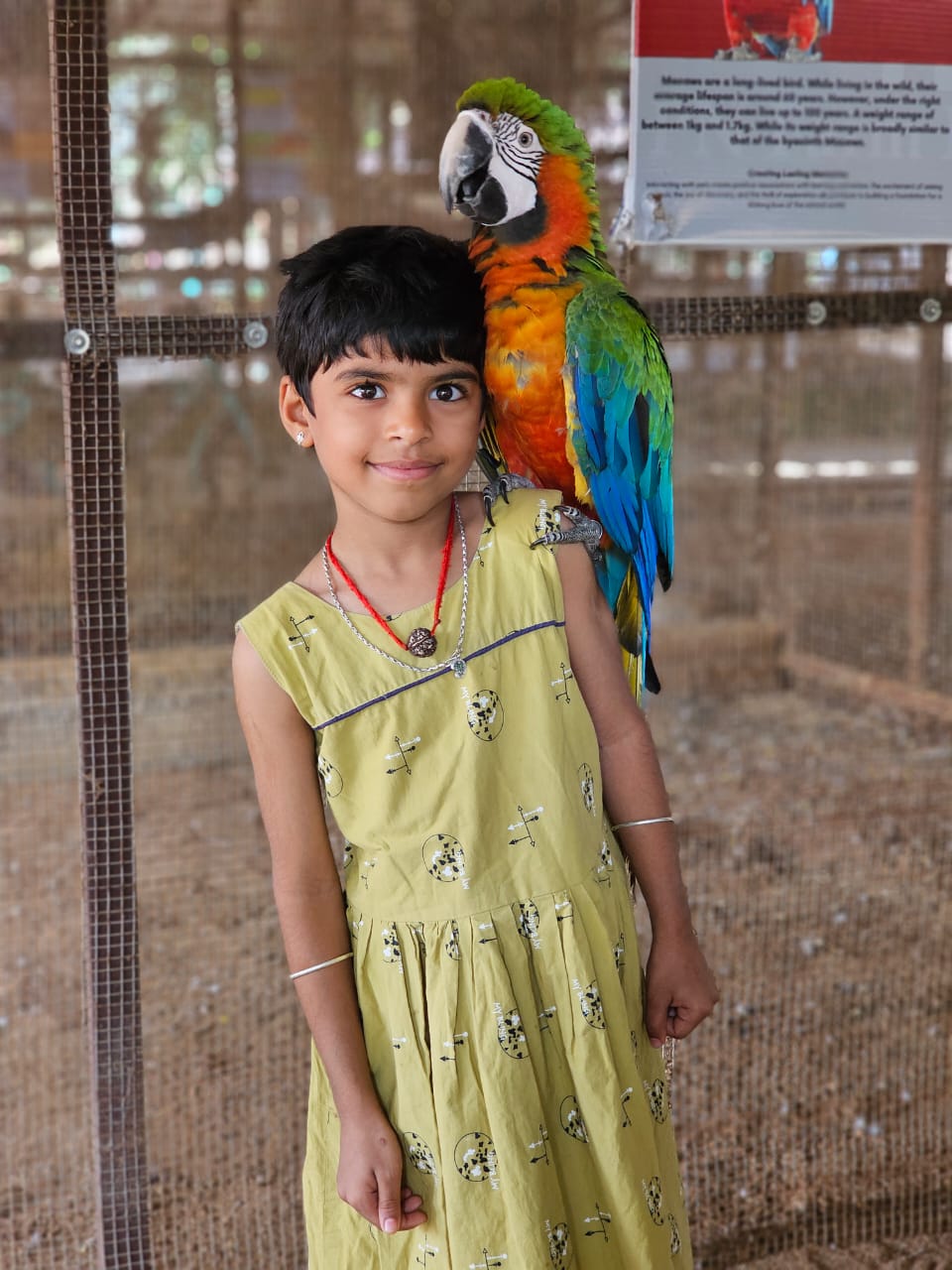 VIVIDH International Residential School campus photo 4 of 12 — Coimbatore