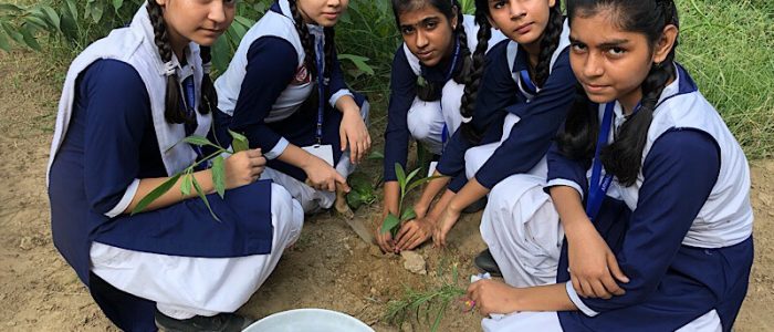 Arwachin Shiksha Sadan Secondary School campus photo 5 of 6 — Karawal Nagar