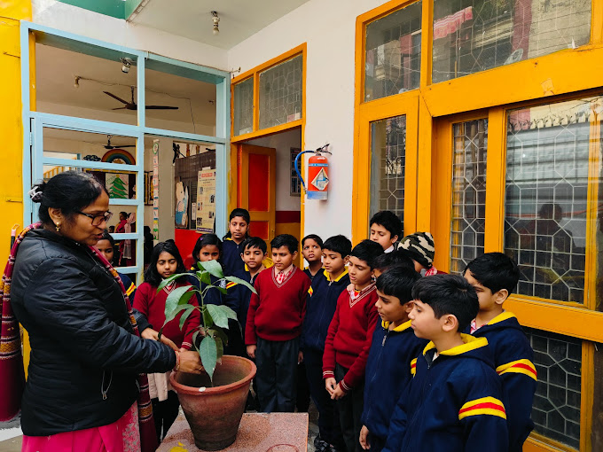 Aryan Vidya Niketan School campus photo 8 of 11 — Chattarpur