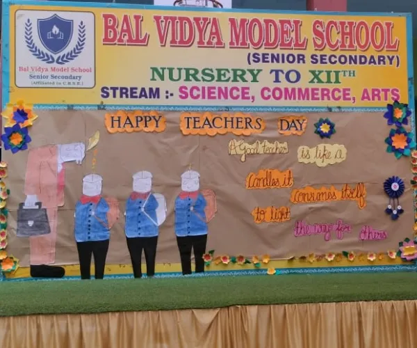 Bal Vidya Model School campus photo 30 of 30 — Nangloi