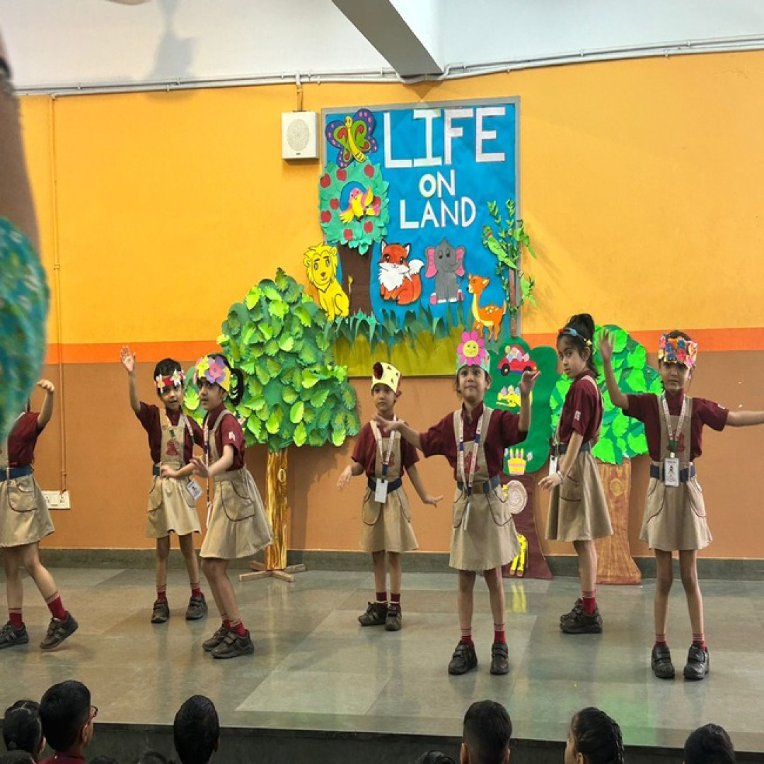 The Indian School campus photo 23 of 30 — Sadiq Nagar