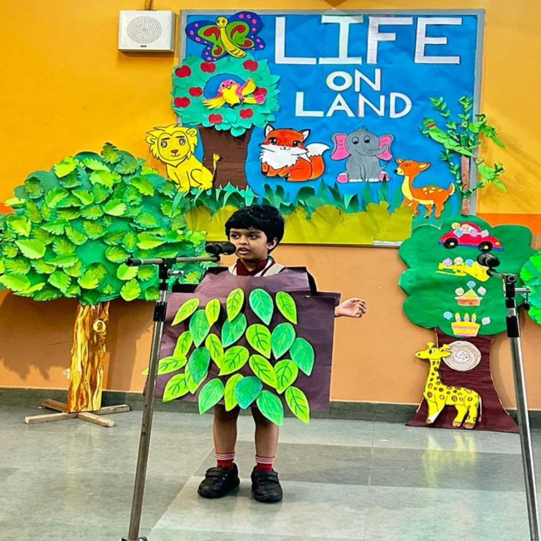 The Indian School campus photo 25 of 30 — Sadiq Nagar