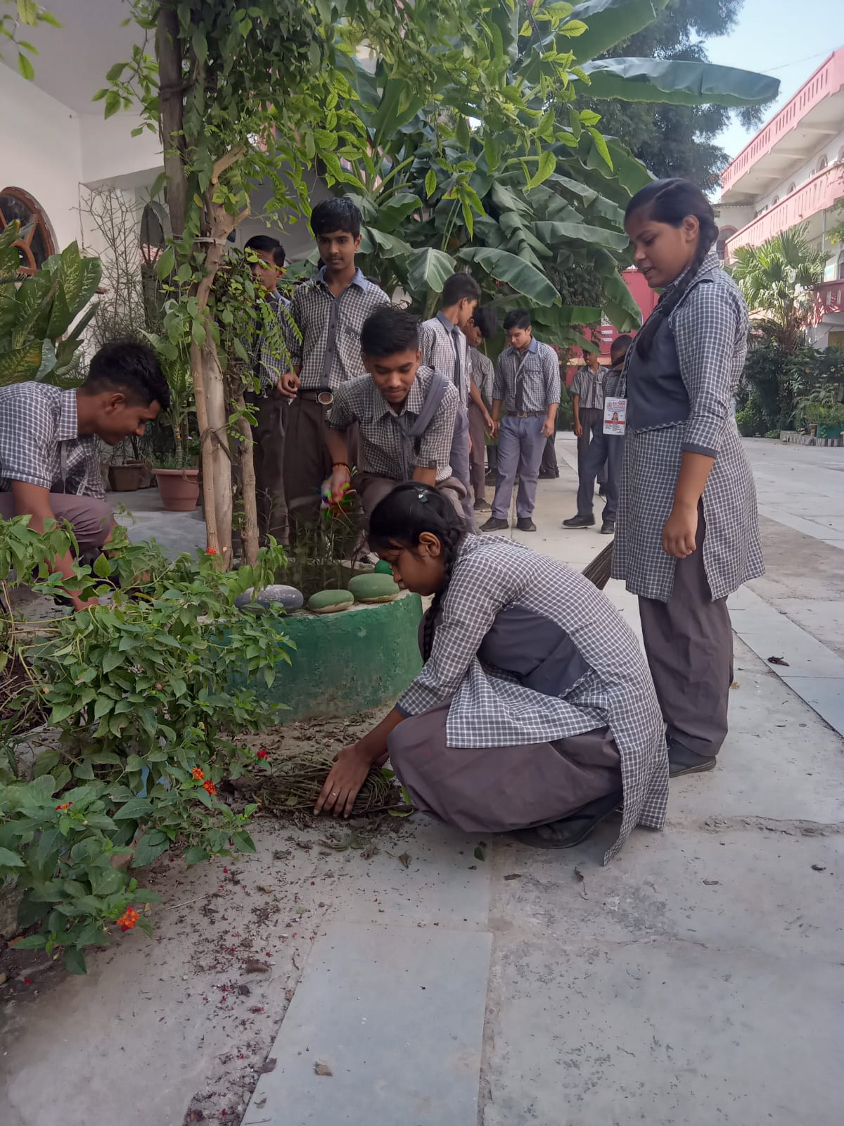 D.V. Public School campus photo 14 of 30 — Rohini