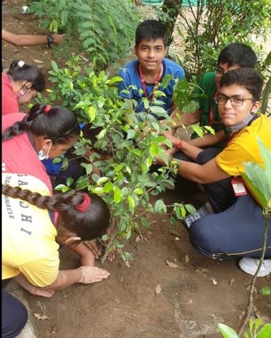 The Pinnacle School campus photo 15 of 30 — Panchsheel Enclave