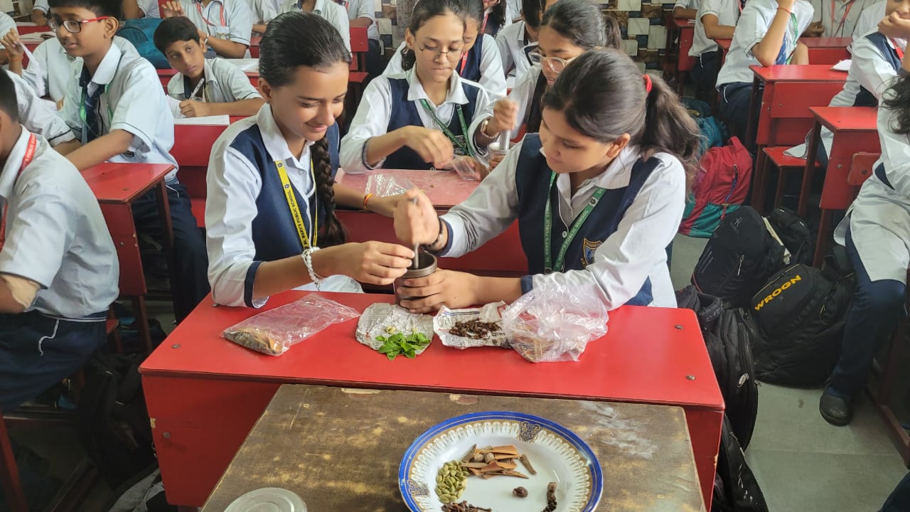 St. Mary's Public School campus photo 10 of 17 — Sangam Vihar