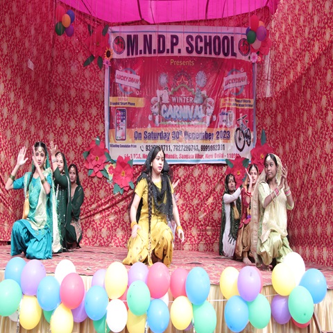 Modern New Delhi Public School campus photo 8 of 30 — Sangam Vihar